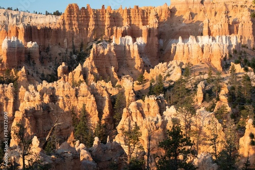 Beautiful rock formation of the Bryce Canyon in Utah, USA