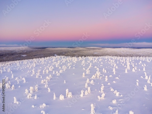 Winter landscape in Lapland with a purple and clear sky background
