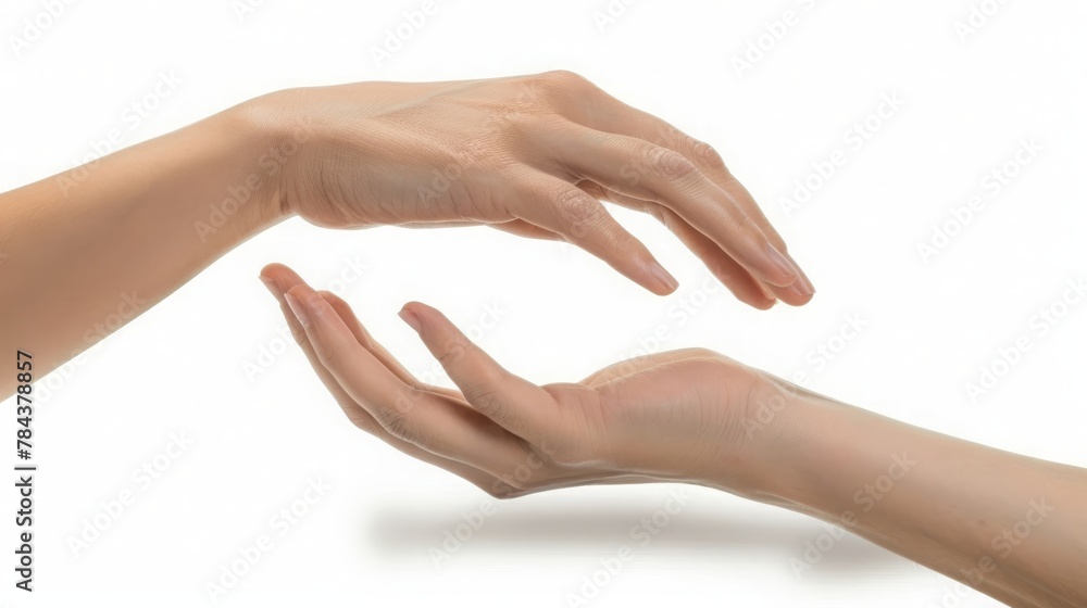isolated image of two hands facing each other as a symbol of protection and insurance isolated image of two hands facing each other as a symbol of protection and insurance