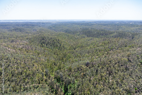 Aerial drone view of pine and cork oaks forest in Huelva mountains, Sierra de Aracena