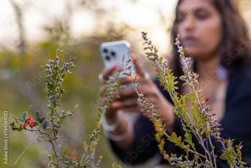 aboriginal woman using smartphone to photograph wildflowers in the bush photo