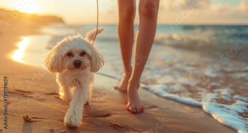 Portrait of cute white dog walking with female owner on sandy beach during summer holiday. Generative AI