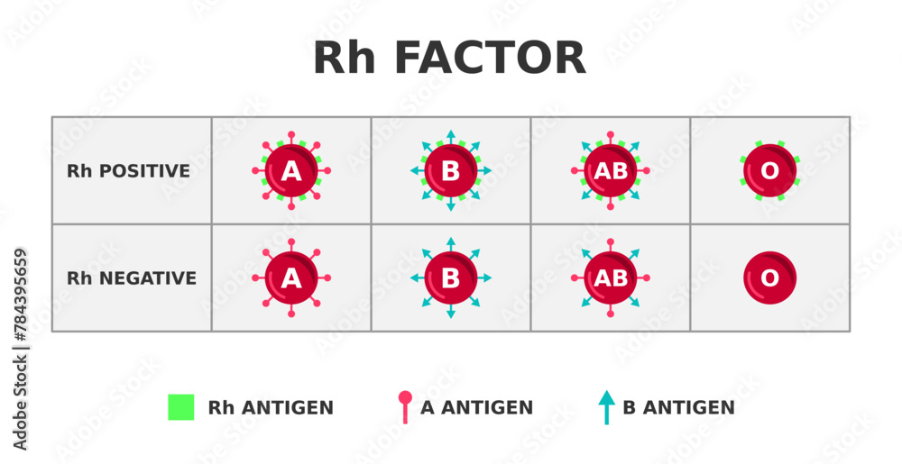 Rh factor blood group system. Rh positive on Rh negative. Rhesus D ...