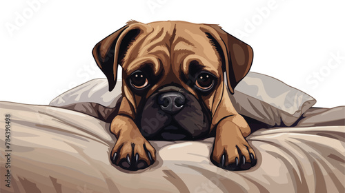 Dark Fawn Puggle Dog Laying on Owners Bed 2d flat cartoon