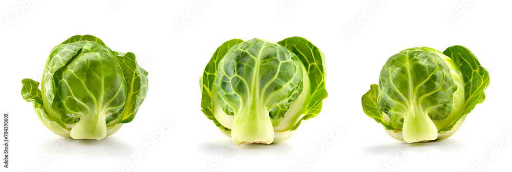 Fototapeta premium Fresh Raw Brussels Sprouts, Isolated on White Background. 