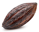 Cocoa bean with clipping path. Cocoa pods isolated on a white background