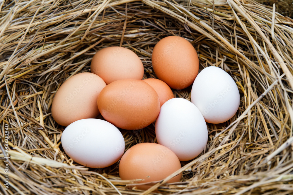 eggs in the nest. small chicken eggs lie in a wicker nest, top view, close-up, food concept