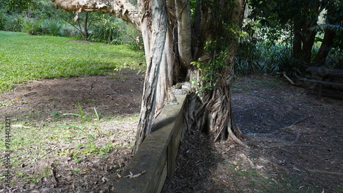 Snake relaxing in the Sunday afternoon sun