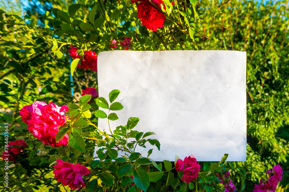 White paper and beautiful flowers. High quality photo