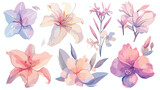 Flower Pixies Watercolor Clipart 2d flat cartoon va