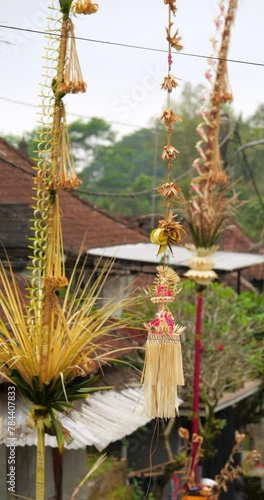 During Galungan festivities in small Balinese village, vertical shot capture Sampian penjor decoration, handcrafted and adorned, hanging along streets photo