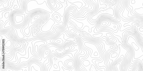 Black and white lines seamless Topographic map patterns, topography line map. Vintage outdoors style. The stylized height of the topographic map contour in lines and contours isolated on transparent. © armans