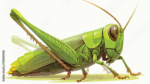 Grasshopper Clipart 2d flat cartoon vactor illustration