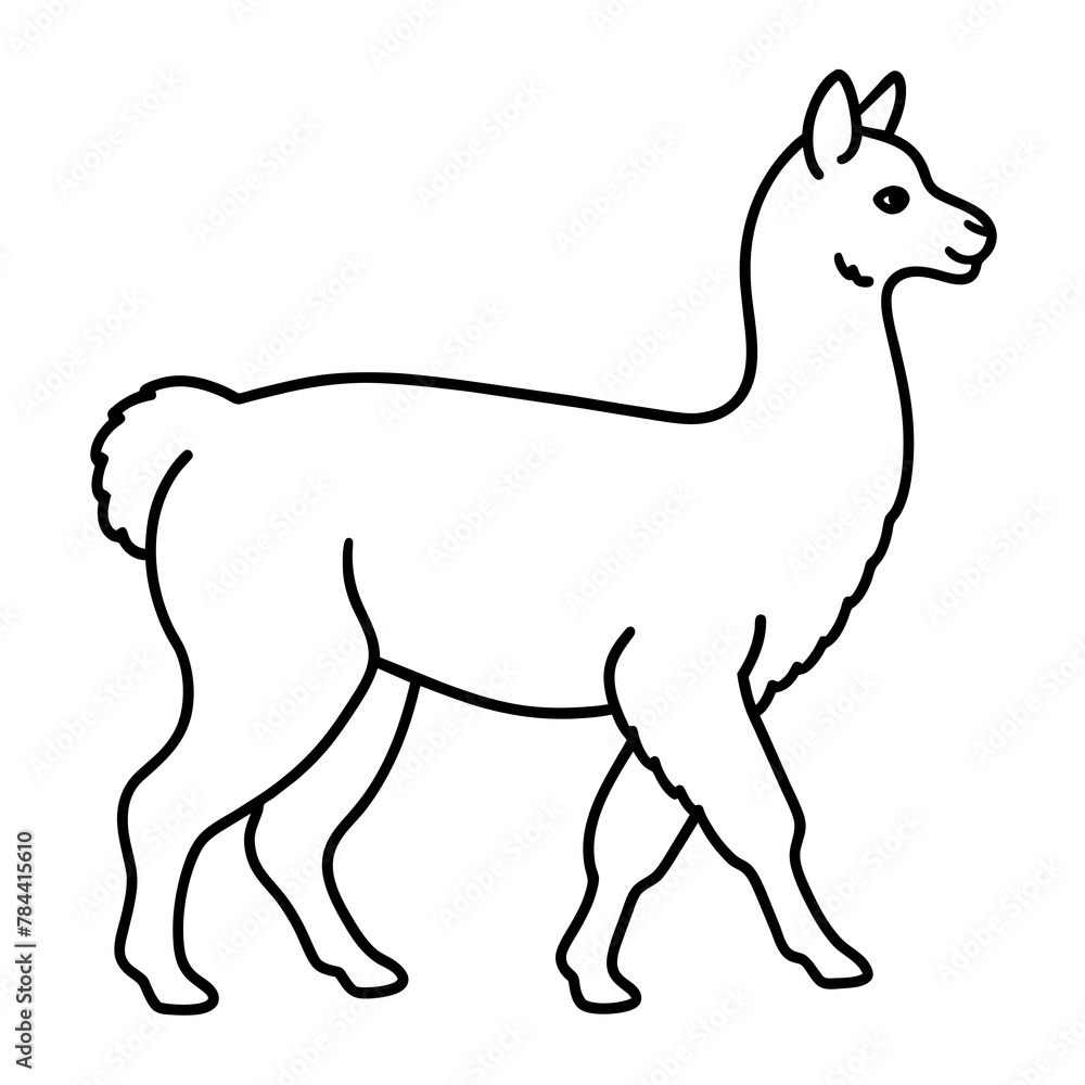 Obraz premium alpaca vector illustration, line art kid's coloring page deign