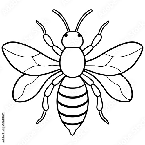 bee vector coloring page. hand drawing coloring book pages for children and adults