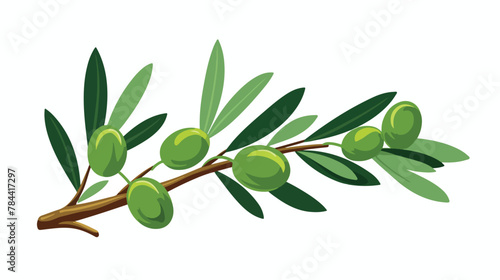 Green olive illustration. Green leaf branch nature.