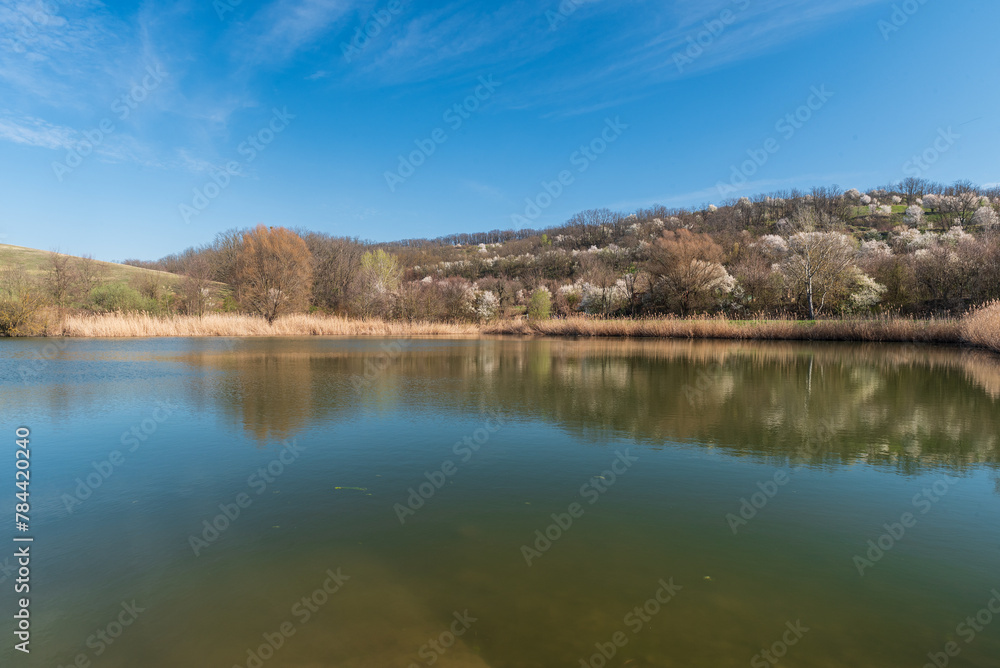 Pond with lower hill covered by blossoming trees near Divaky village in Czech republic