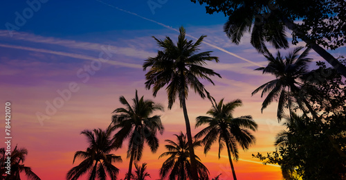 Banner Summer with colorful theme as palm trees background as texture frame background © SASITHORN