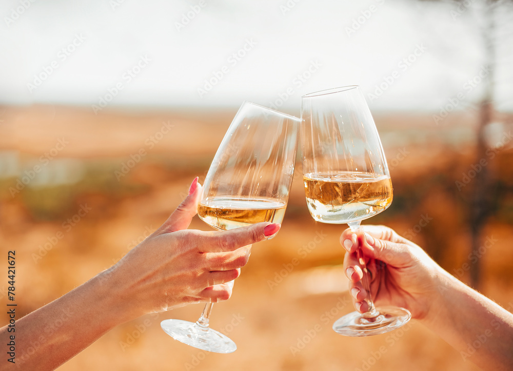 © Dasha Petrenko - Friends clinking glasses with white wine during picnic © Dasha Petrenko - Friends clinking glasses with white wine during picnic