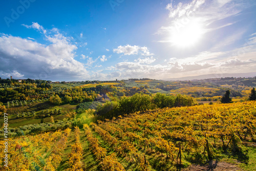 vignoble de toscane