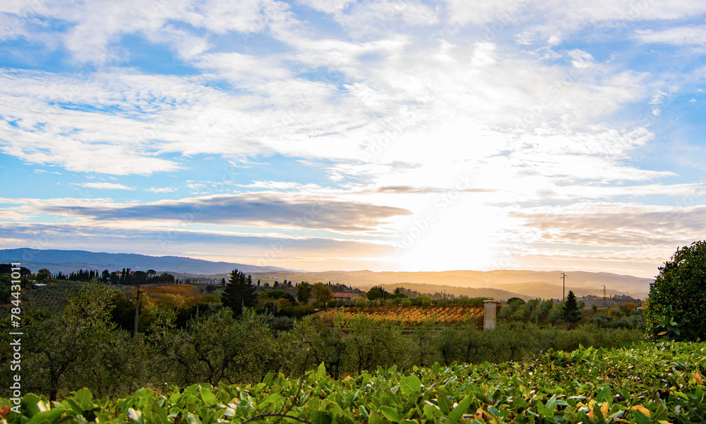 toscane toscane