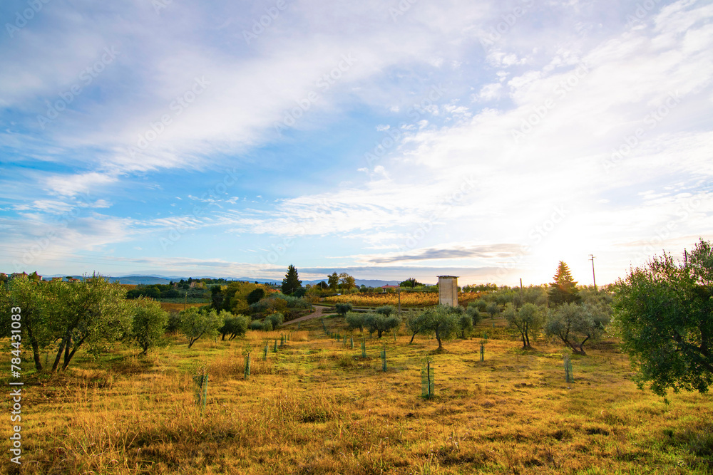 toscane toscane
