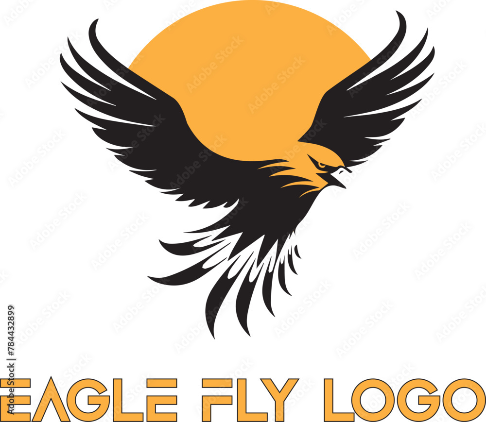 Obraz premium eagle in flight