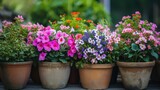Beautiful flowers in pots. AI generative.