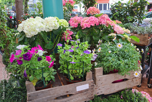 Spring flowers for sale in the flower store 