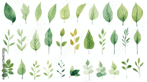 Isolated watercolor pattern set of illustrated natu