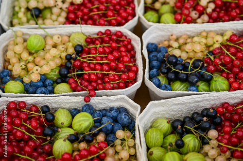 Gemischte Früchte, Beeren, Schale mit Johannisbeere, Heidelbeere, Blaubeere, Stachelbeere, Superfruits aus dem Garten