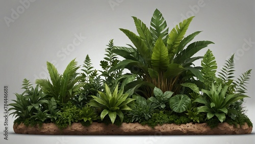 Plants scene creater. Isolated on transparent background photo