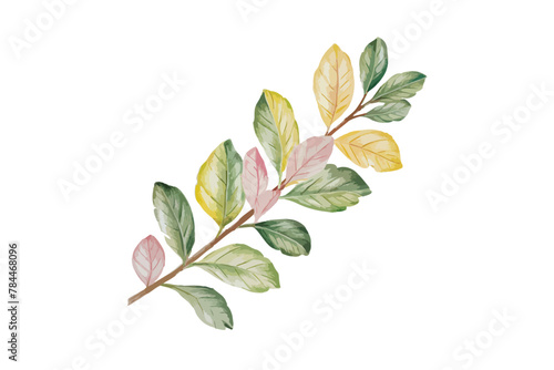 spring leaves color pencil super easy drawing vector illustration on white background, photo