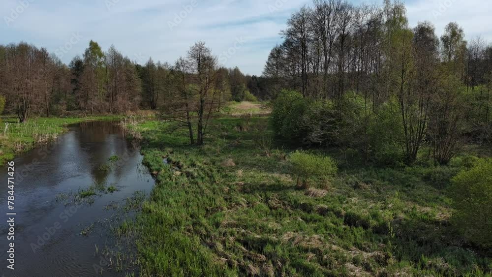 A small wild river in central Poland. A small wild river in central Poland.