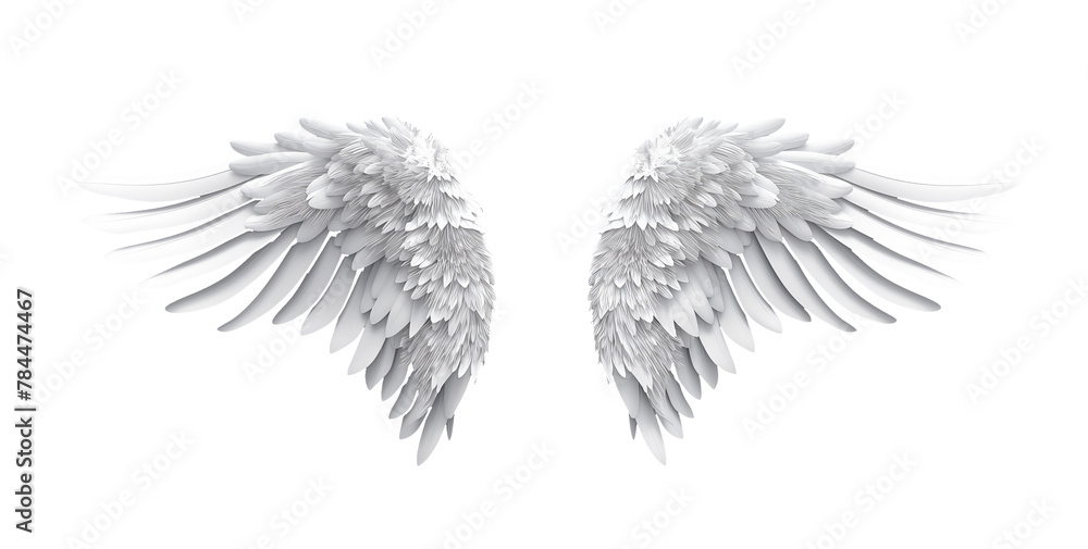 Obraz premium White Wings with Transparent Background
