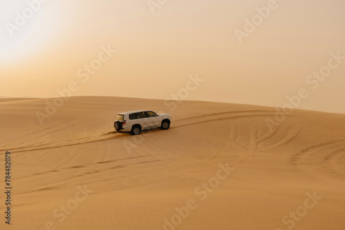 Enjoy a safari in the desert of Dubai