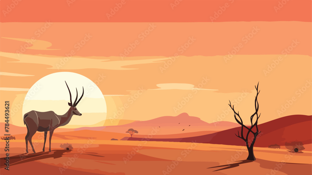 Semi wild or feral Arabian Oryx at sunset in the Ar