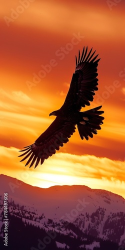 Eagle silhouette against sunrise, close up, soaring, snow-capped backdrop