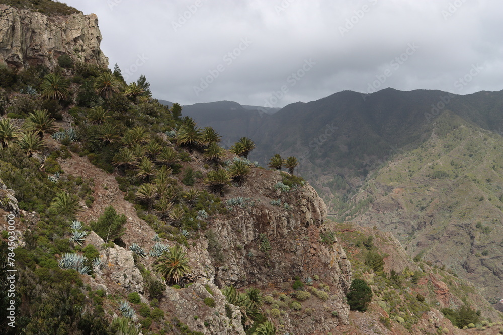Hiking in the Parque National de Garajonay on the canary island Gomera