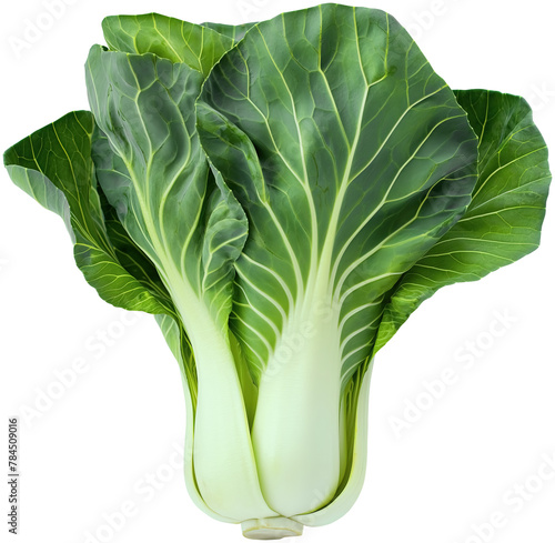 raw bok choy pak choi Chinese cabbage