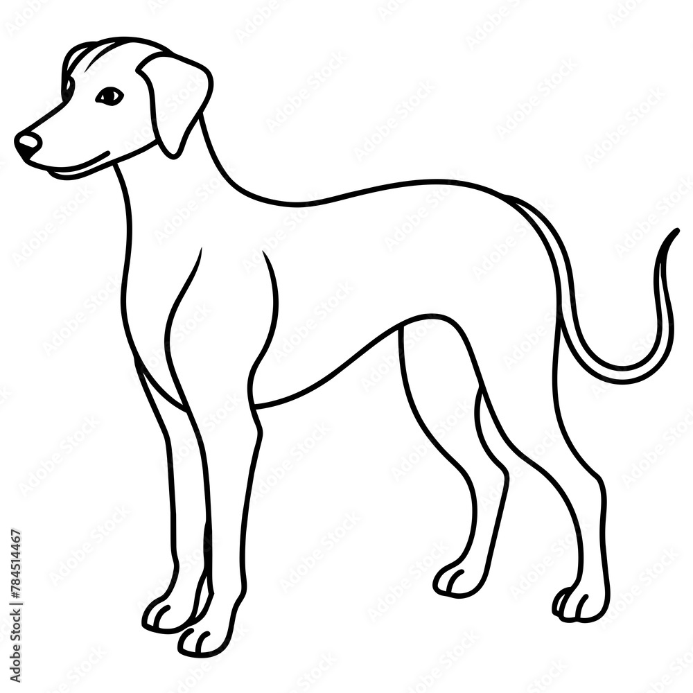 Dog vector illustration mascot,Dog silhouette,vector,icon,svg,characters,Holiday t shirt,black Dog cartoon drawn trendy logo Vector illustration,Dog on a white background,eps,png,line art