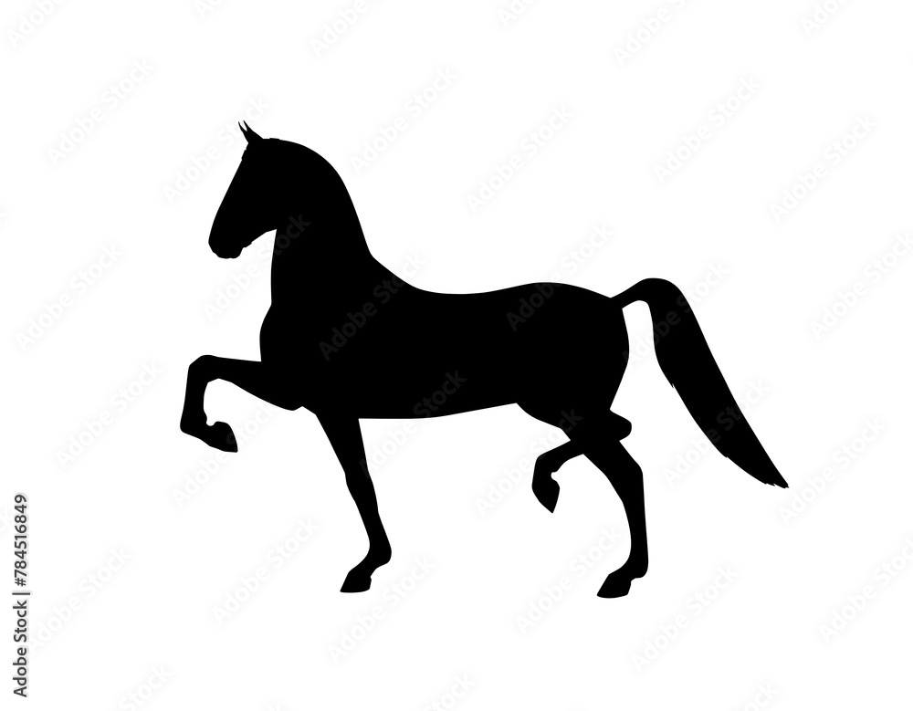 Hackney horse moves free. Silhouette on a white background