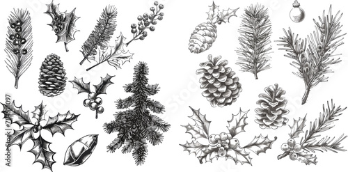 Christmas plants fir branches, pine cones and holly leaves with berries photo