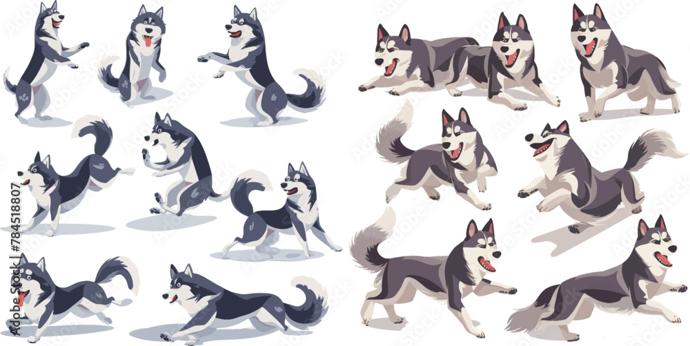 Active huskies animal characters. Siberian husky pedigree puppy dog, domestic breed pets isolated vector icons set
