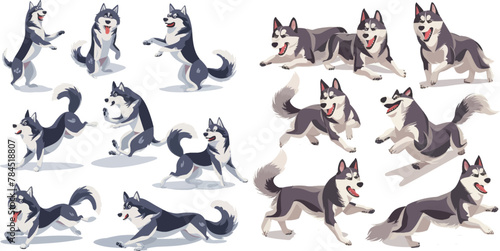 Active huskies animal characters. Siberian husky pedigree puppy dog, domestic breed pets isolated vector icons set