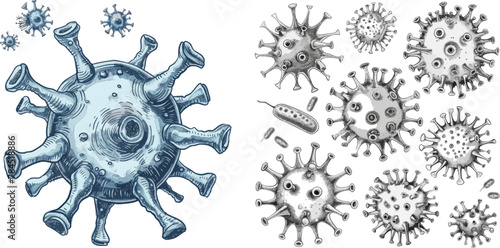 Sketch virus. Bacteria, coronavirus germ biology micro organic elements