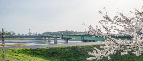 桜と橋と青空