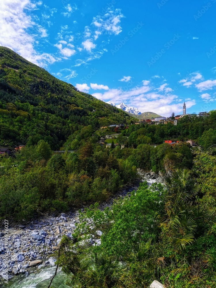 Fototapeta premium paysage 