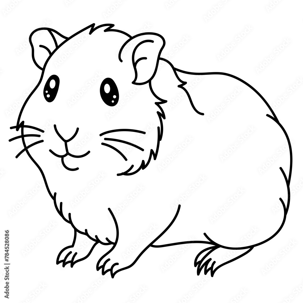 guinea