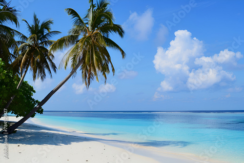 Sunny beach in the Maldives. Palm trees  white sand  ocean. Landscape view from the shore.